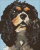 pixel hobby complete set 31147 cavalier king pixel hobby complete set 31147 cavalier king