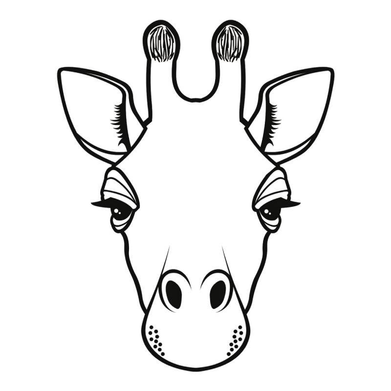Giraffe Hoofd Tekening Gratis Afbeeldingen Haar Dier Ge soleerd Vacht Tugba Knother