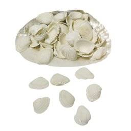 Schelp witte schelpen 8508500 | Rayher Schelp witte schelpen 8508500 | Rayher