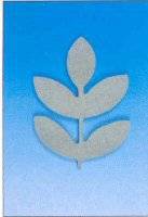 Mdf ornament 50007 twijg | Rico Mdf ornament 50007 twijg | Rico