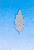 Mdf ornament 50013 blad | Rico Mdf ornament 50013 blad | Rico