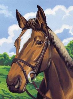 Schilder nr pppnj79 horses head | Reeves Schilder nr pppnj79 horses head | Reeves