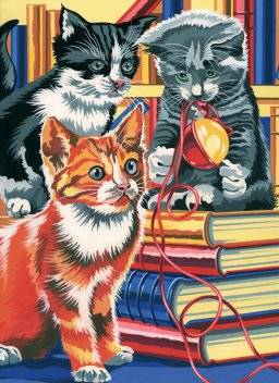Schilder nummer pppnj83 kitten | Reeves Schilder nummer pppnj83 kitten | Reeves