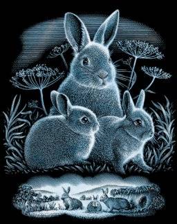 Scraperfoil ppsf 302 rabbits | Reeves Scraperfoil ppsf 302 rabbits | Reeves