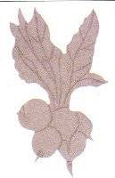 Mdf ornament 8480-10 radijsjes | Rico Mdf ornament 8480-10 radijsjes | Rico