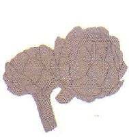 Mdf ornament 8480-15 artisjokken | Rico Mdf ornament 8480-15 artisjokken | Rico