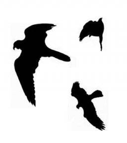 Silhouette stickers vogels zwart | Pickup